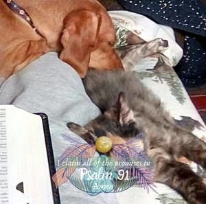 Meet your Posher, Tresa